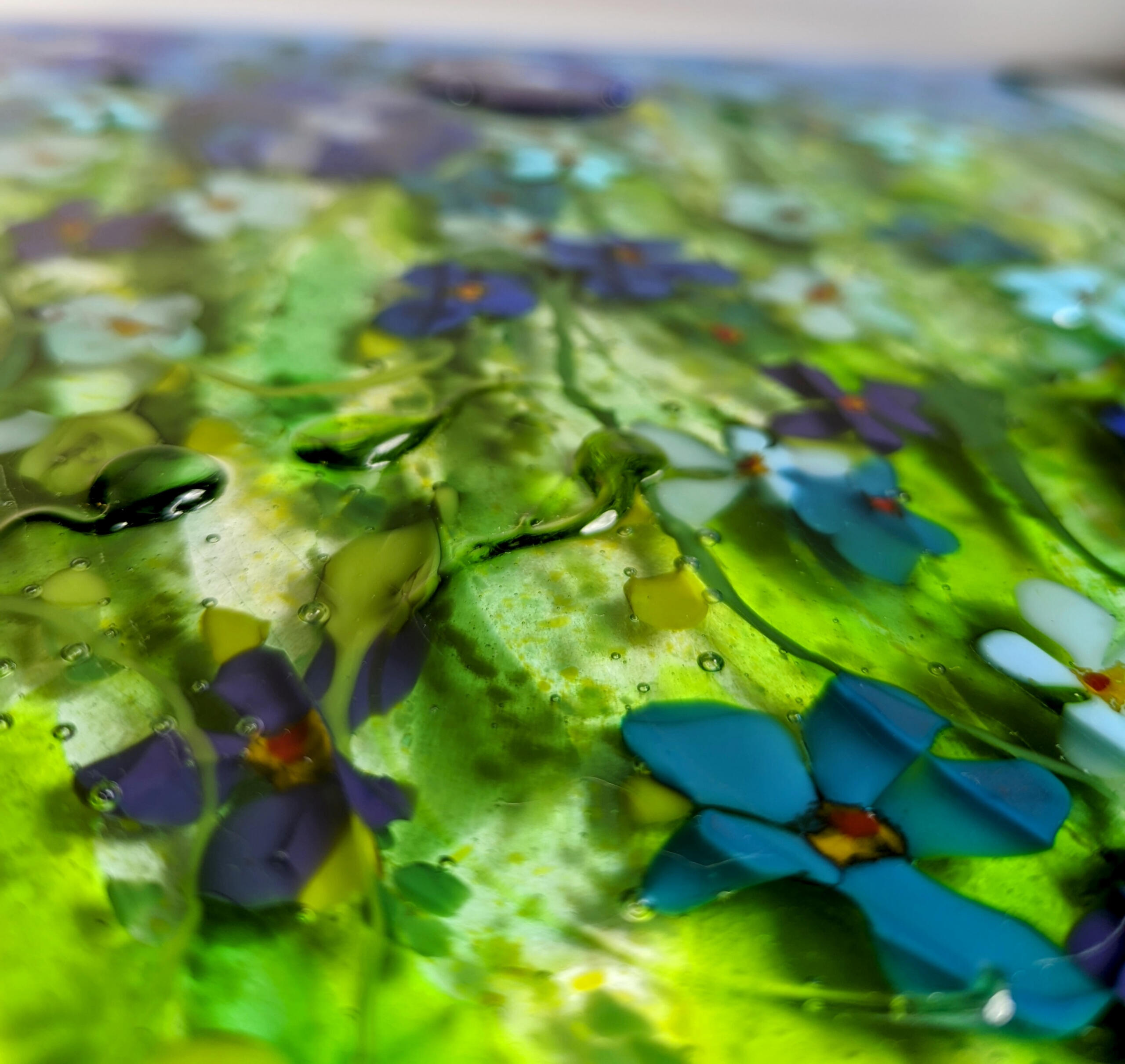 Forget Me Not, close up