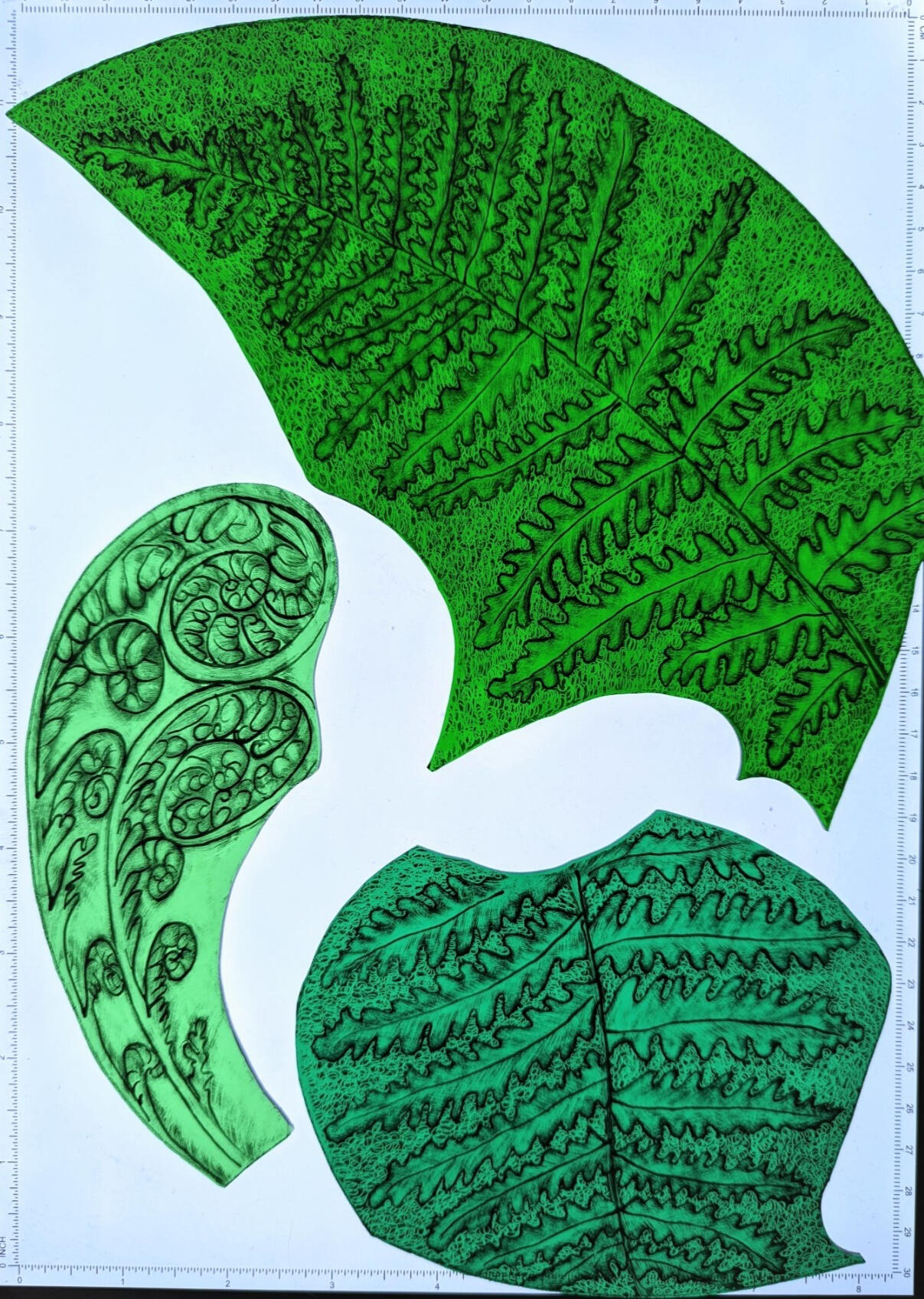 Hidden gem, close up